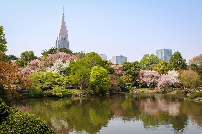 A comprehensive guide to Momo Estate concierge services