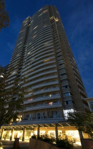 momo estate momo estate