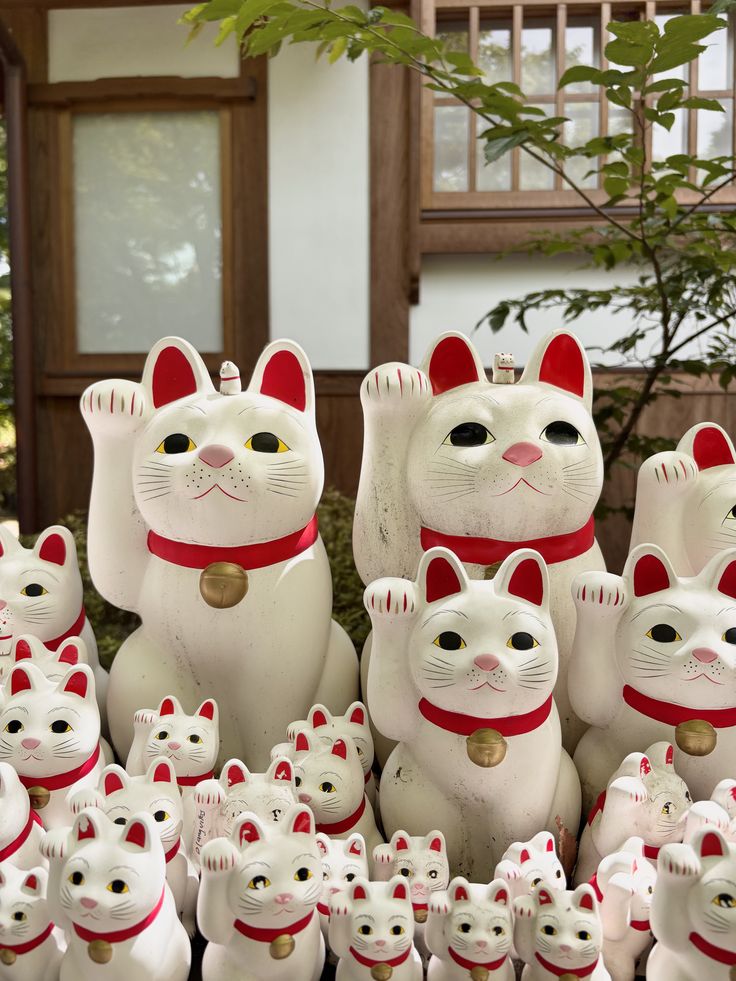 The Ultimate 2026 Guide to Discovering Tokyo