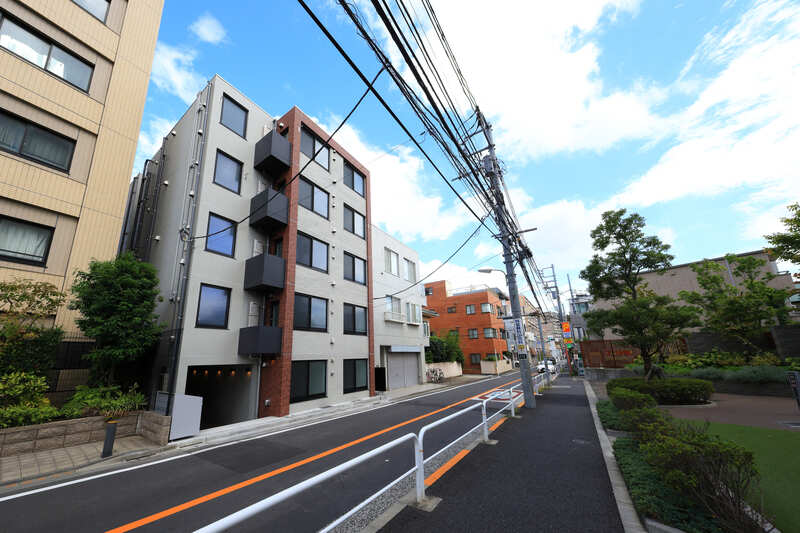 momo estate