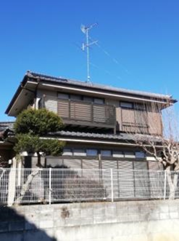 momo estate