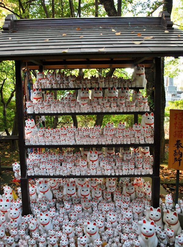 Chiba vs. Tokyo: The foreigner's honest guide to living east of the capital in 2026 Tokyo neighborhood guide: Why Setagaya is the ultimate residential destination for international families and professionals (2026)
